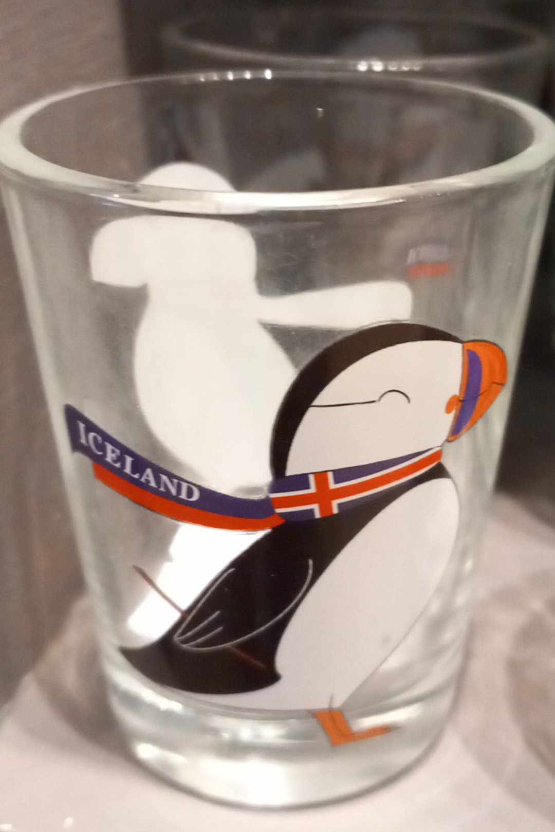 Icelandic Adventure Shot Glasses Icelandic Adventure Shot Glasses